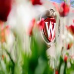 Flowering red tulips frame an ornate W crest icon that is a part of a landscaped roundabout at Observatory Drive and Walnut Street at the University of Wisconsin-Madison.