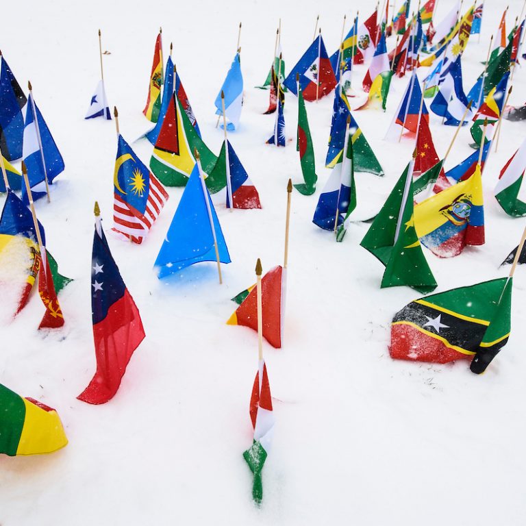 Flags from various countries stuck in the snow on Bascom Hill.