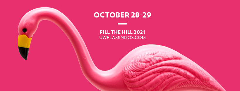 A pink plastic lawn flamingo on a pink background with text "October 28-29 Fill the Hill uwflamingos.com"